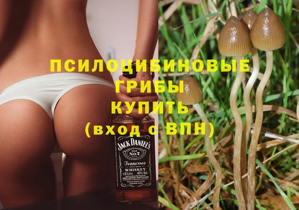 метадон Богородск